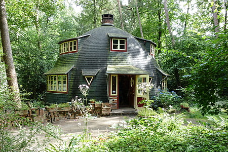 black and white wooden house on forest thumbnail