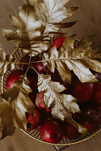 Red apples and golden oak leaves thumbnail