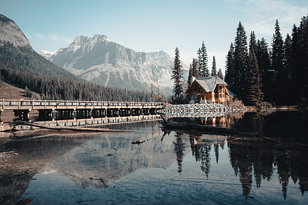 Body of Water Near House thumbnail
