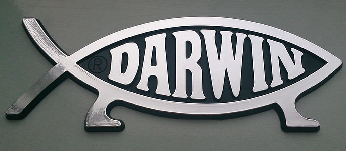 gray Darwin fish logo thumbnail