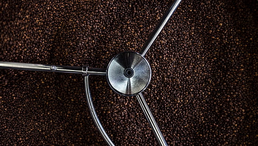black bean lot thumbnail
