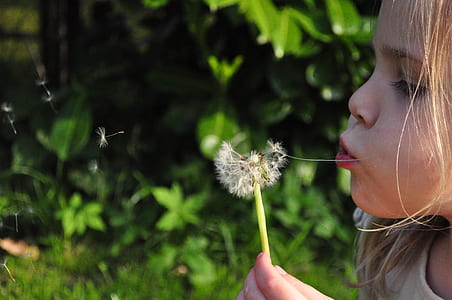 girl blowing dadelion plant thumbnail