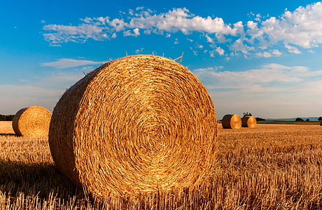 roll of hay thumbnail