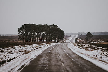 gray asphalt road and trees in landscape photography thumbnail