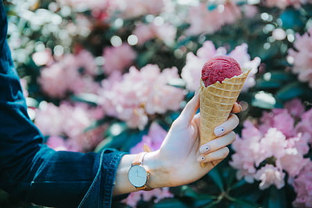 person holding ice cream near pink petaled flowe thumbnail