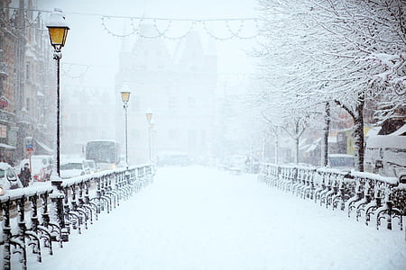 bridge and trees with snow thumbnail