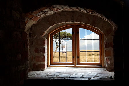 brown block interior with window thumbnail