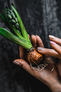 Woman making a little ornamental seedling in a small jar thumbnail