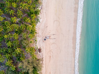 aerial photo of seashore thumbnail