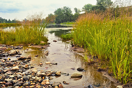 landscape photography of green grass field near body of water thumbnail