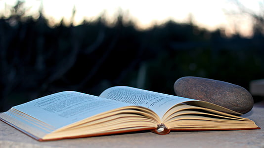 selective focus photo og opened book beside pebble thumbnail