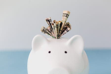 Piggy Bank With Money Photo thumbnail