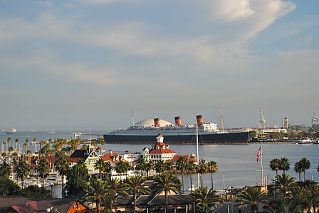 black and white cruise ship in dock at daytime thumbnail