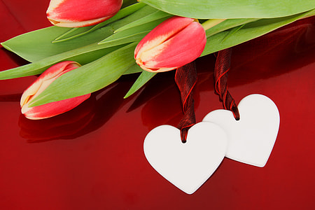 closeup of red tulips and hear cutouts thumbnail