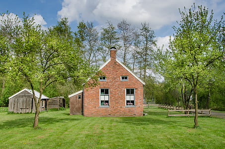 wood, landscape, summer, building thumbnail