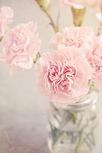 selective focus photograhy of pink flowers thumbnail