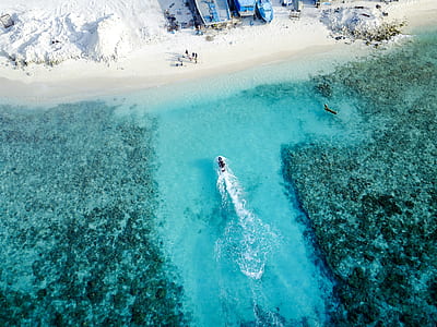 aerial photo of beach thumbnail