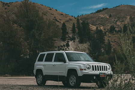 white Jeep Cherokee surrounded by trees under white sky thumbnail