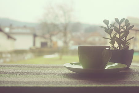green ceramic teacup and saucer during daytime thumbnail
