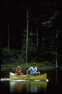 Catoctin Mountain National Park, Forest thumbnail