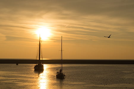 silhouette photography of two boats under flying bird with sunset background thumbnail