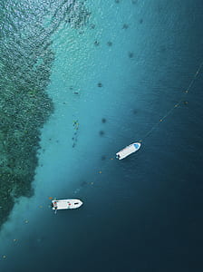 two white boats docked near reef thumbnail