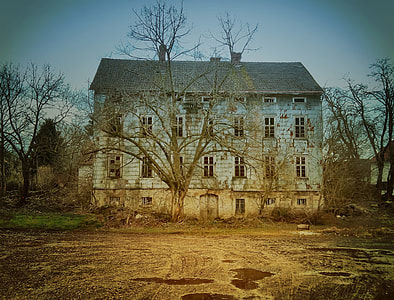 blue concrete house surrounded with leafless trees during daytime thumbnail