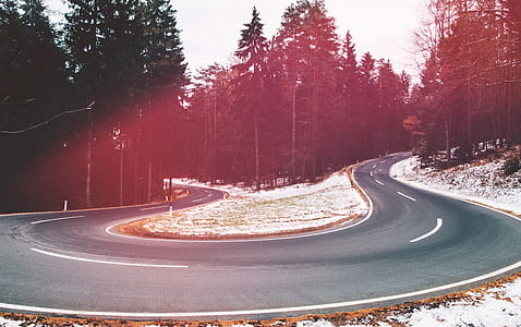 u-turn road between trees thumbnail