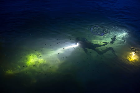 under water photography of person wearing flippers thumbnail