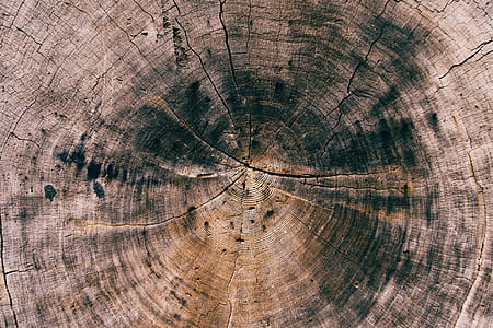 brown and black wood thumbnail