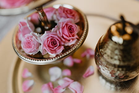 A tray of pink roses thumbnail
