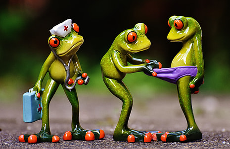 closeup photo of three frogs figurines thumbnail