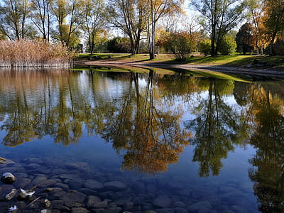 green forest field reflecting on body of water thumbnail
