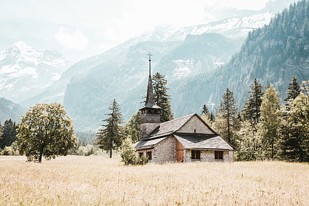 gray wooden cathedral near green treers thumbnail