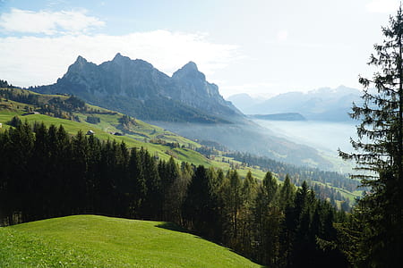 aerial photography of pine trees near mountain range thumbnail