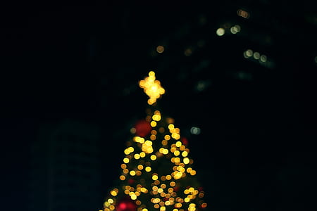 lighted christmas tree thumbnail