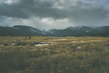 landscape photography of green field thumbnail
