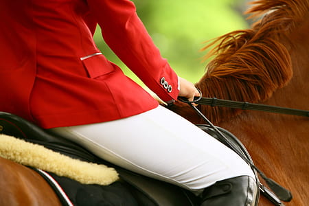 person riding horse thumbnail
