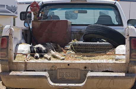 two car tires on truck bed thumbnail