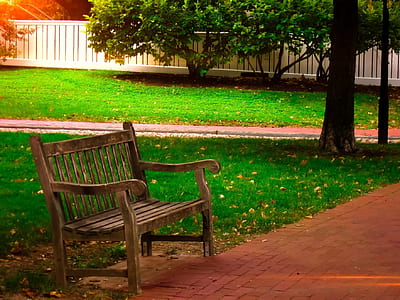 brown wooden bench in park thumbnail