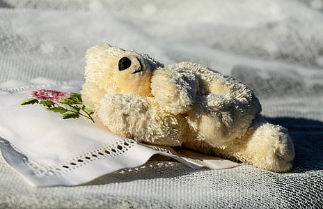 yellow bear plush toy on white handkerchief thumbnail