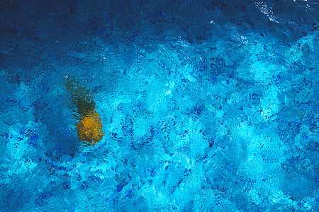 photo of body of water thumbnail
