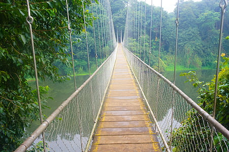 brown and gray bridge thumbnail