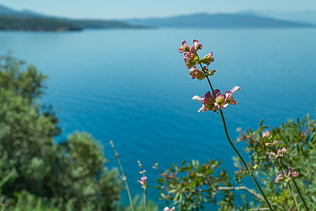 sea, landscape, mountains, nature thumbnail