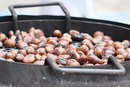 pile of cooked seeds thumbnail