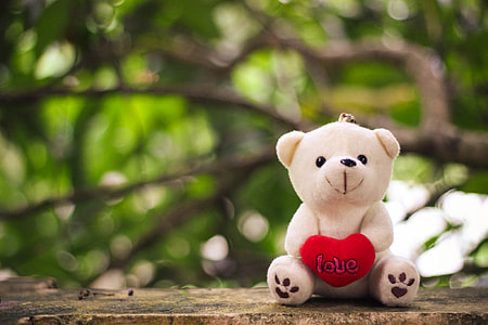 photo of white bear with heart plush toy on brown surface thumbnail