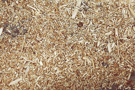 brown dried leaves thumbnail