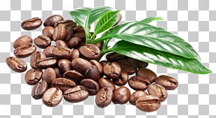 Coffee bean Espresso Caffè macchiato, coffee, roasted coffee beans PNG clipart