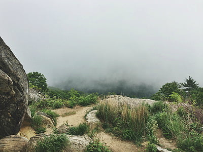 green mountain during daytime thumbnail
