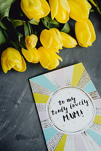 Mother`s Day card with colorful tulip flowers thumbnail